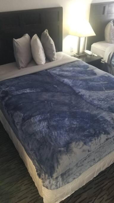סטילווטר Osu Hotel 2 Queen Beds Hotel Room 132 מראה חיצוני תמונה